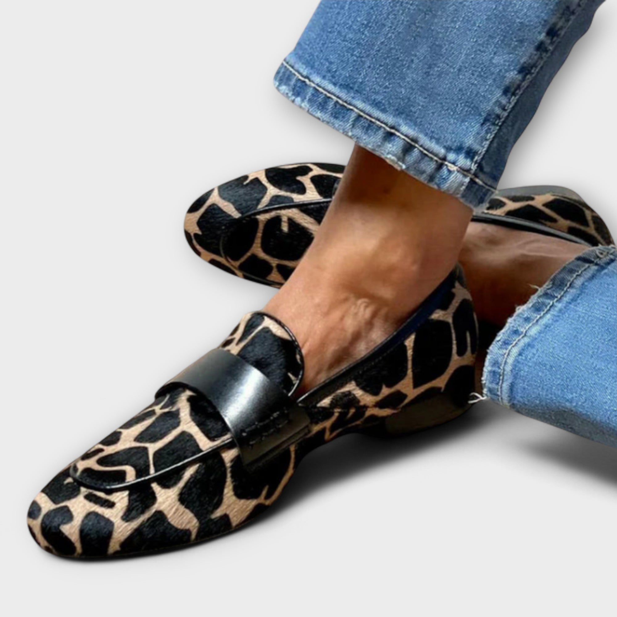 Leopardo - Sambo