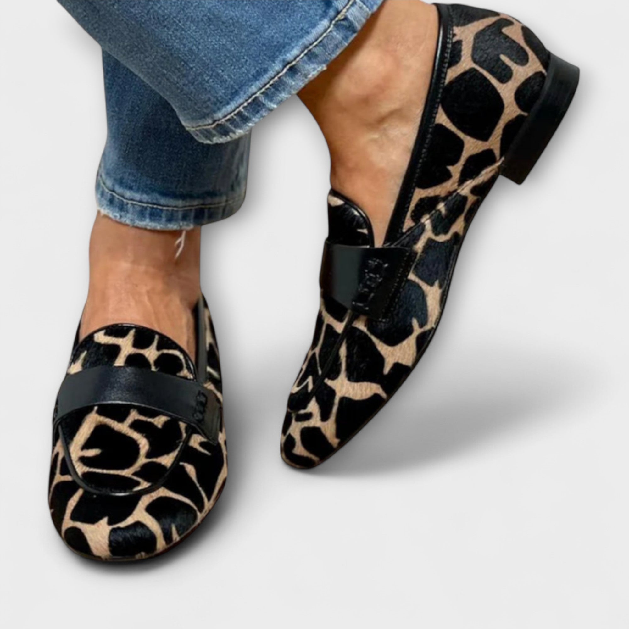 Leopardo - Sambo